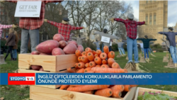 İngiliz çiftçilerden Parlamento önünde ‘korkuluklu’ protesto