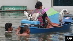 Cư dân địa phương đưa chó mèo và đồ tùy thân lên thuyền đi tìm nơi tránh lụt ở Ayutthaya, Thái Lan, 9/10/2011